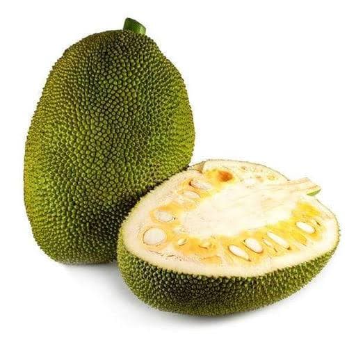 Jackfruit 